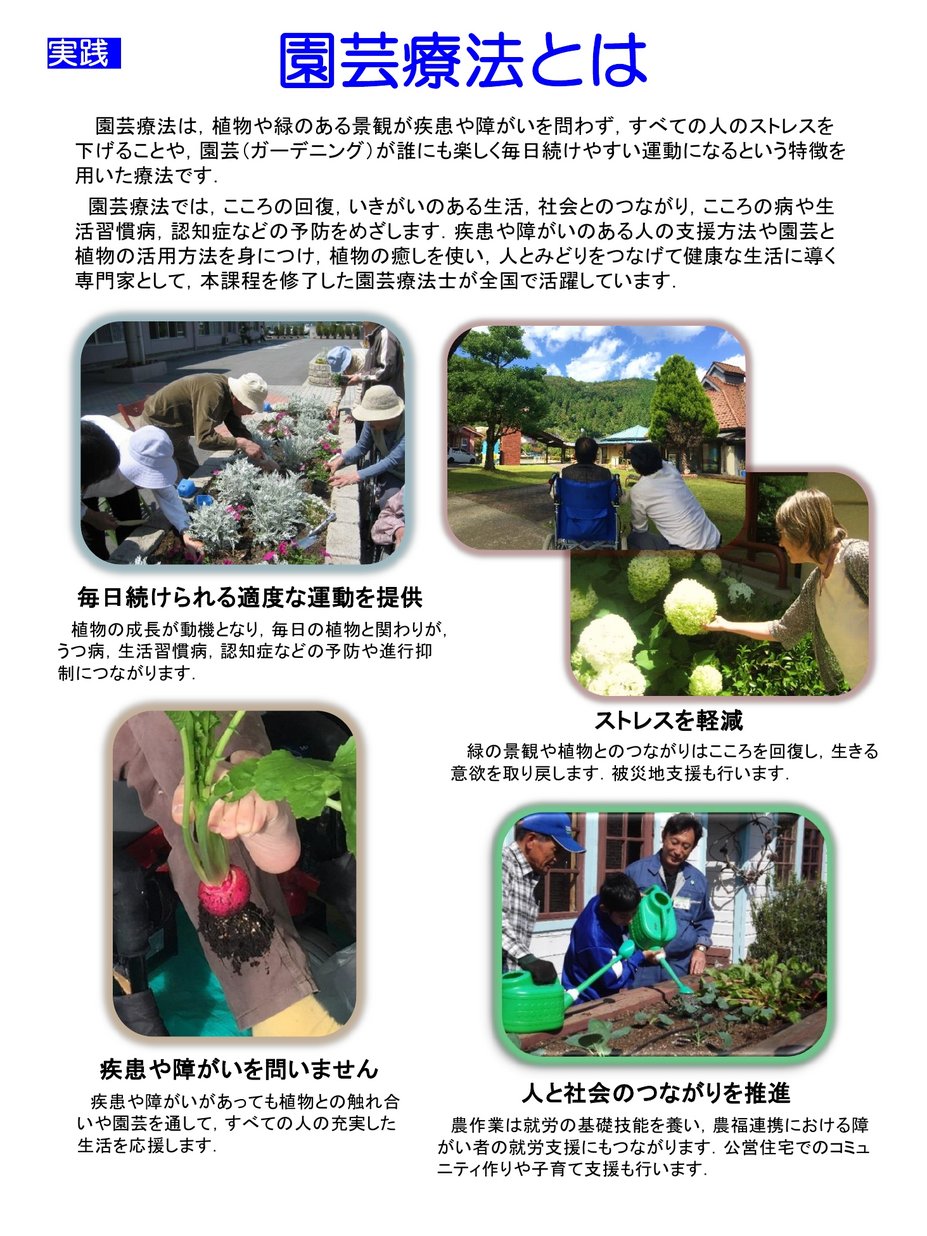 レビュー高評価のおせち贈り物 園芸療法パンフレット 一般